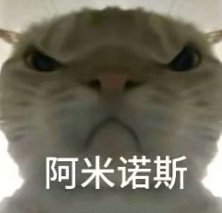 季后赛对内
